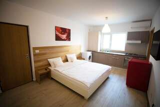 Апарт-отели 1Hotels Тимишоара Двухместный номер с 1 кроватью и кухней-7