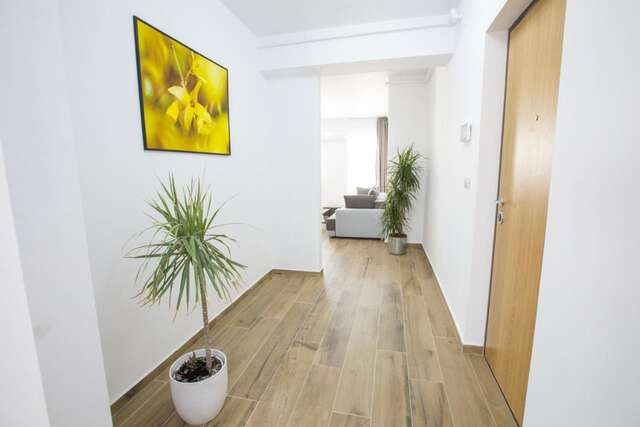 Апарт-отели 1Hotels Тимишоара-47